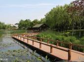 上海闵行体育公园旅游攻略 之 湿地生态园