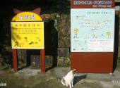 台湾猴硐猫村旅游攻略 之 光复里