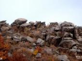 齐齐哈尔蛇洞山风景区旅游攻略 之 石群