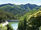 九龙山国家森林公园旅游攻略 之 望龙峰