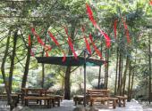 杭州神龙川风景旅游度假区旅游攻略 之 休闲丛林