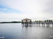 泰来泰湖国家湿地公园旅游攻略 之 亲水栈道