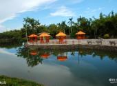 湛江南亚热带植物园旅游攻略 之 湖心岛