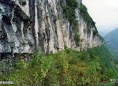 贵州石阡温泉旅游攻略 之 碗架岩摩崖