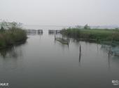 下渚湖国家湿地公园旅游攻略 之 湿地风光