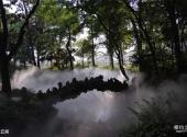 中国科学院武汉植物园旅游攻略 之 水云涧