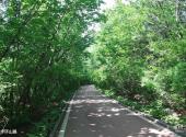 七台河桃山公园旅游攻略 之 健步环山路