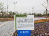 锦州世界园林博览会旅游攻略 之 百草园