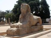 埃及孟菲斯博物馆旅游攻略 之 狮身人面像