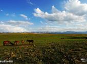 新疆伊犁河谷旅游攻略 之 喀拉峻空中草原
