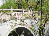 上海顾村公园旅游攻略 之 桥梁
