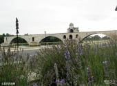 法国阿维尼翁旅游攻略 之 圣贝内泽桥