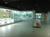 中国地质大学逸夫博物馆校园风光 之 矿产资源展厅