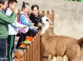 西安秦岭野生动物园旅游攻略 之 动物会客厅