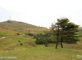 宜昌百里荒高山草原旅游区旅游攻略 之 百里荒高山草原旅游区