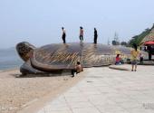 大连海之韵公园旅游攻略 之 海龟石像