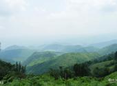 瑞昌秦山风景区旅游攻略 之 秦山