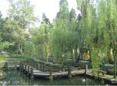重庆北温泉风景区旅游攻略 之 观鱼池