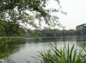 天津大学校园风光 之 青年湖