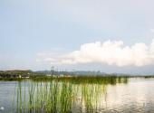 威宁草海国家级自然保护区旅游攻略 之 湿地