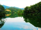 茂名天马山生态旅游区旅游攻略 之 天池