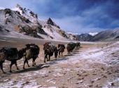 新疆乔戈里峰旅游攻略 之 阿格拉达坂