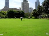 上海人民广场旅游攻略 之 广场绿地