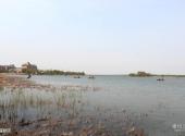 河北衡水湖国家级自然保护区旅游攻略 之 保护区