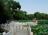 北京紫竹院公园旅游攻略 之 青莲岛