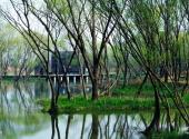 扬州市凤凰岛生态旅游区旅游攻略 之 聚风岛