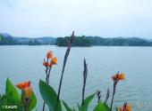 惠州西湖旅游攻略 之 花洲话雨