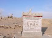 新疆和田尼雅遗址旅游攻略 之 尼雅遗址