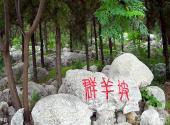 徐州泉山森林公园旅游攻略 之 绵羊石