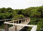 香港湿地公园旅游攻略 之 红树林浮桥