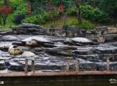 重庆璧山观音塘湿地公园旅游攻略 之 石雕