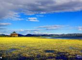 甘肃尕海则岔国家级自然保护区旅游攻略 之 湿地