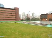 香港理工大学校园风光 之 屋顶草坪
