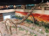 自贡恐龙博物馆旅游攻略 之 恐龙世界