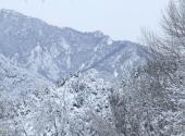 北京松山森林公园旅游攻略 之 雪景