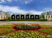 重庆永川卫星湖旅游攻略 之 重庆文理学院