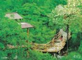 淄博原山国家森林公园旅游攻略 之 云步桥