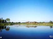 大庆黑鱼湖生态景区旅游攻略 之 风景