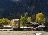 西藏林芝旅游攻略 之 米堆村