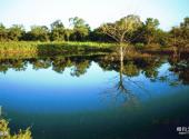 海南大田国家级自然保护区旅游攻略 之 水资源