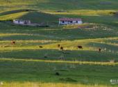 新疆喀拉峻草原旅游攻略 之 草场