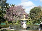 新西兰尼尔森市旅游攻略 之 城市花园