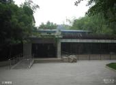 北京动物园旅游攻略 之 猩猩馆