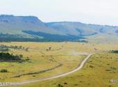 坦桑尼亚塞伦盖蒂国家公园旅游攻略 之 塞伦盖蒂国家公园