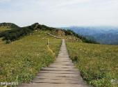 河北保定野三坡景区旅游攻略 之 白草畔森林游览区