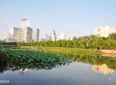 北京奥林匹克公园旅游攻略 之 龙形水系